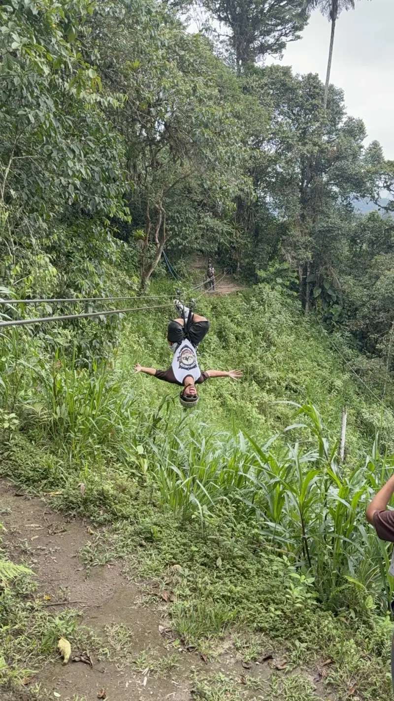 Campista de cabeza en el canopy entre los árboles